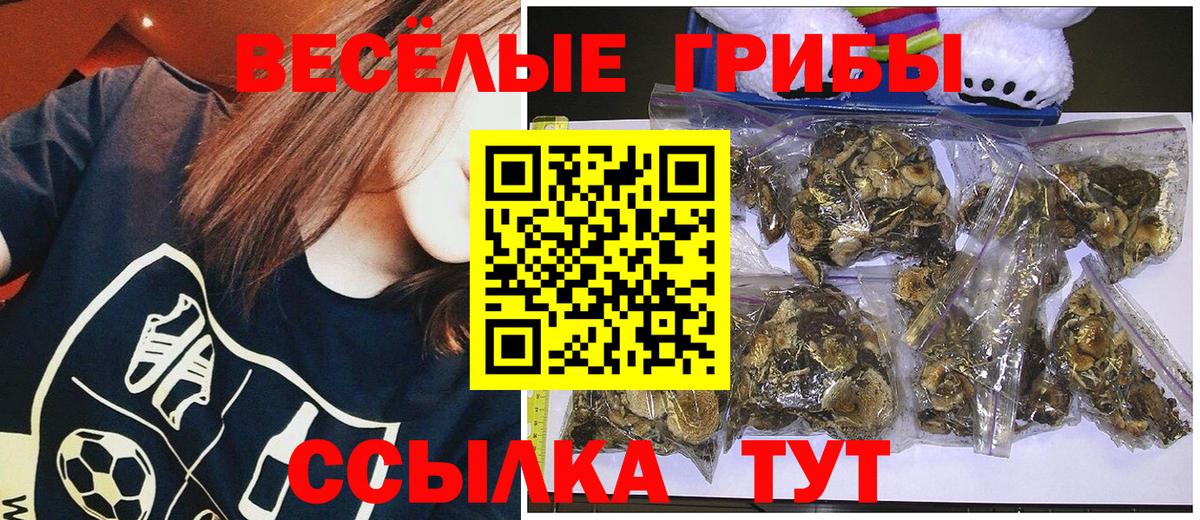 Псилоцибиновые грибы Magic Shrooms Белая Калитва